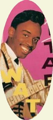 Johnny Guitar Watson